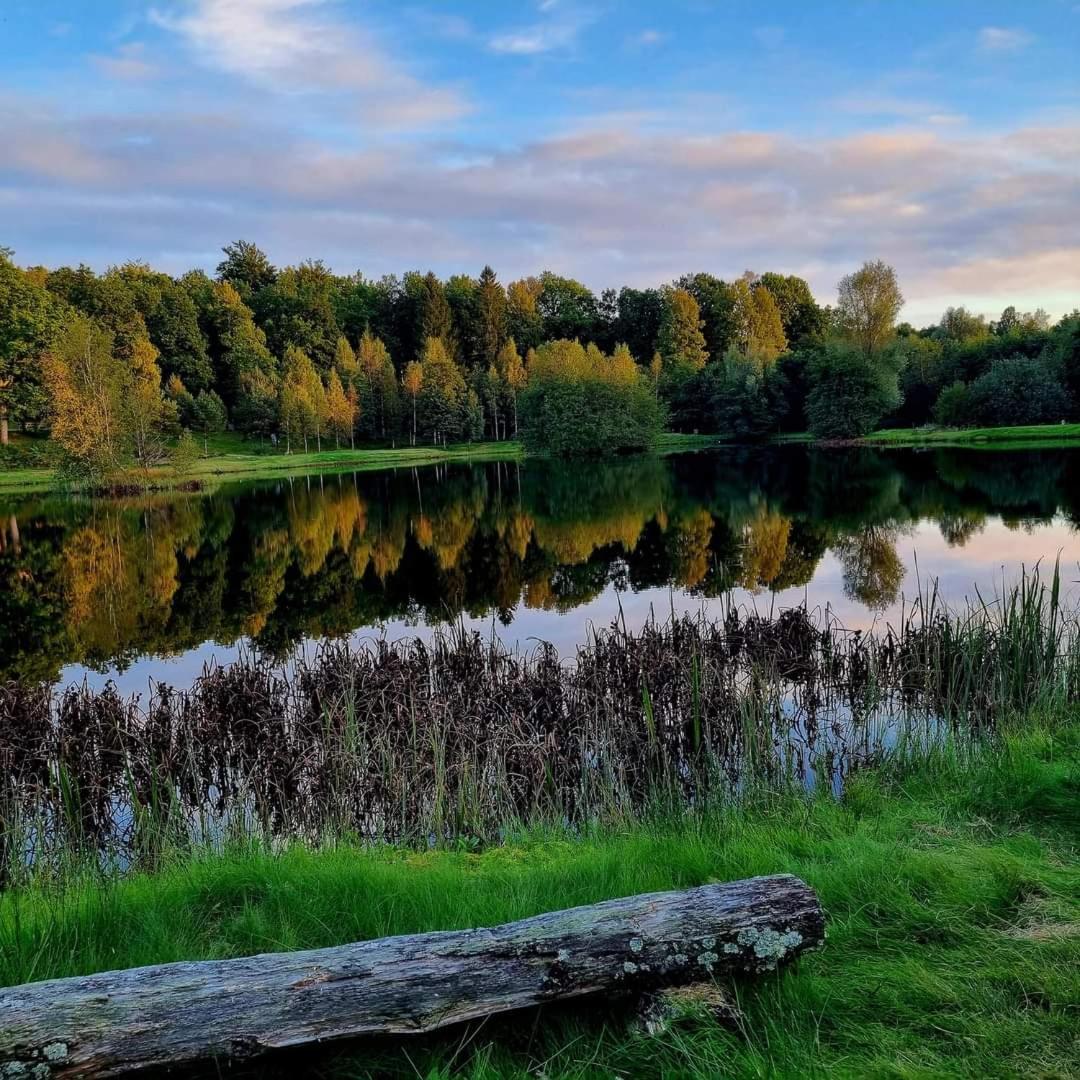 Tallhojden Hotel & Cottage Lodge Simlångsdalen Esterno foto